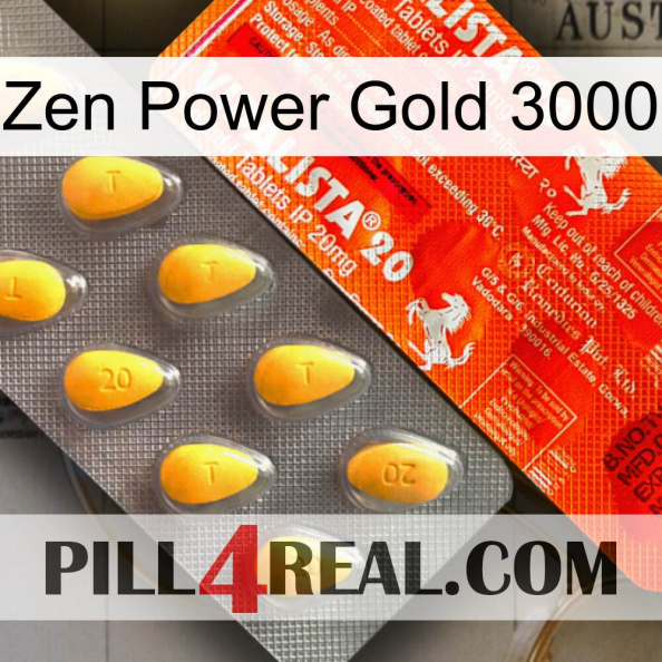 Zen Power Gold 3000 new01.jpg